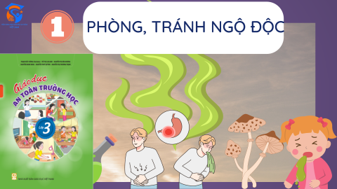 Giáo Án Khối Lớp 3 - Chủ đề 01 - Phòng, tránh ngộ độc